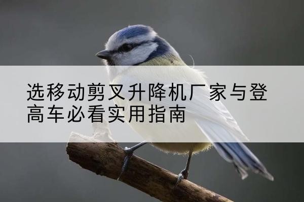 巨鹿电动升降机厂家-选移动剪叉升降机厂家与登高车必看实用指南