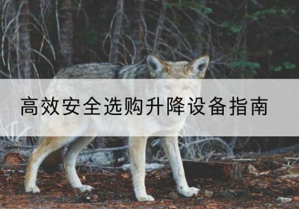 巨鹿升降货梯厂家推荐-*安全选购升降设备指南
