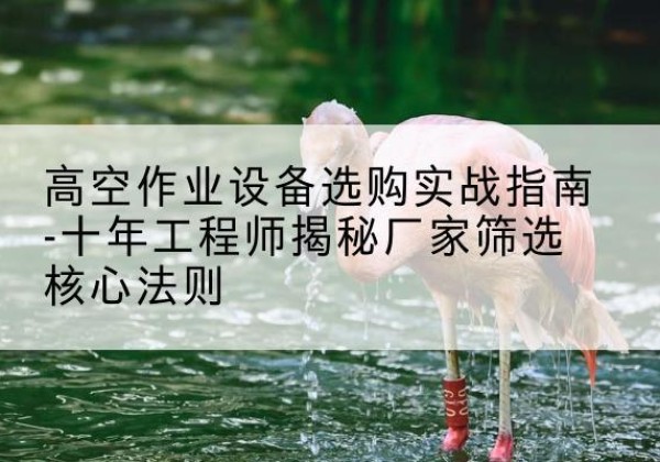 巨鹿剪叉式升降机厂家-高空作业设备选购实战指南-十年工程师揭秘厂家筛选核心法则